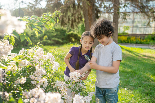Two teens examining a cluster of flowers in the park