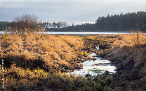  Autumn hiking and discovering the marshland of Heidenreichsteiner Moor Nature Park  Lower Austria  Austria