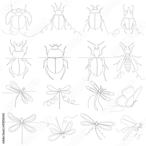 dragonfly, beetle, set of sketch drawing by one continuous line, vector, isolated