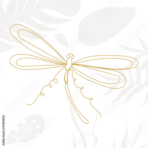 dragonfly drawing by line, on an abstract white background, vector, isolated