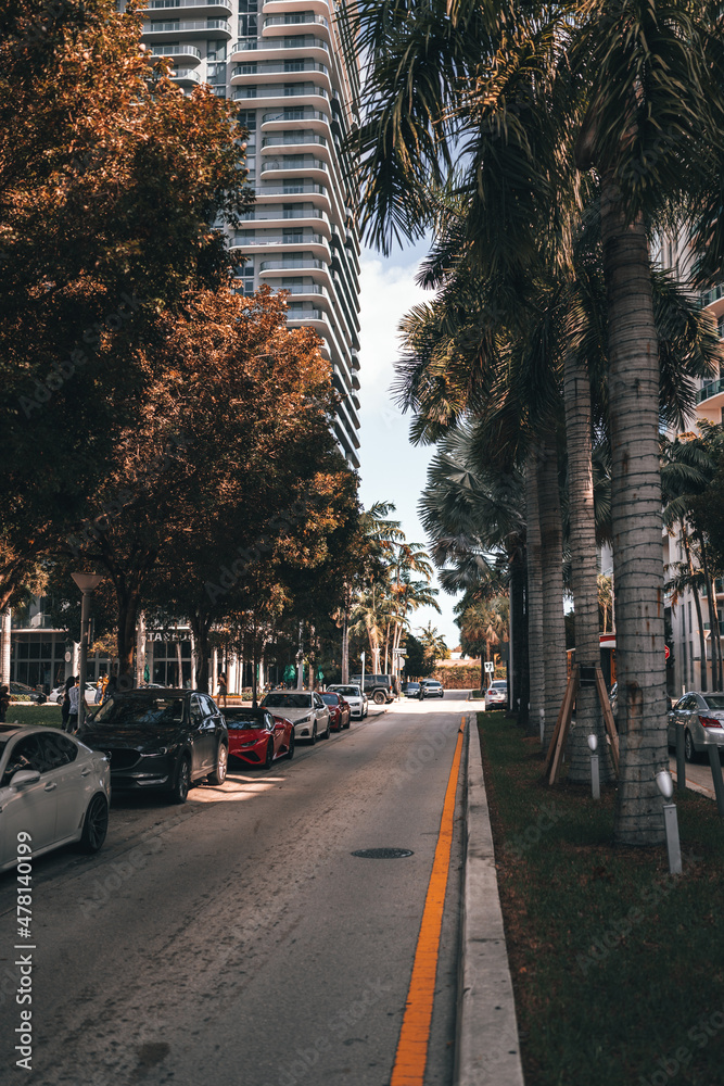 street midtown Miami Florida cars palms city 