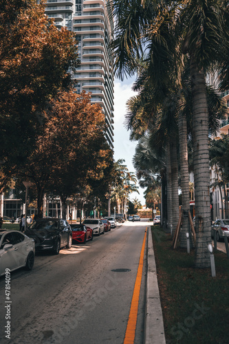 street midtown Miami Florida cars palms city 