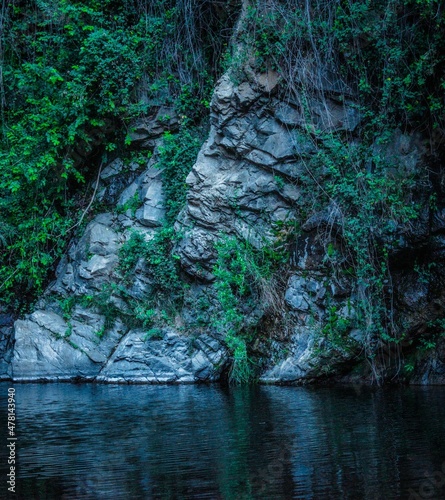 Piedras en el Bosque, ambiente frío, agua, pantano