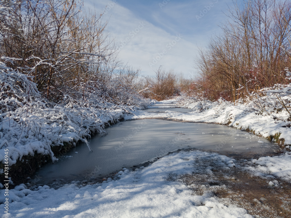 Fototapeta premium Dirt road with frozen ponds and snow-covered vegetation by the road, winter landscape