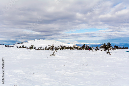 Beautiful Winter Snowy  Mountain Landscape from Bulgaria  Vitosha  Mountain