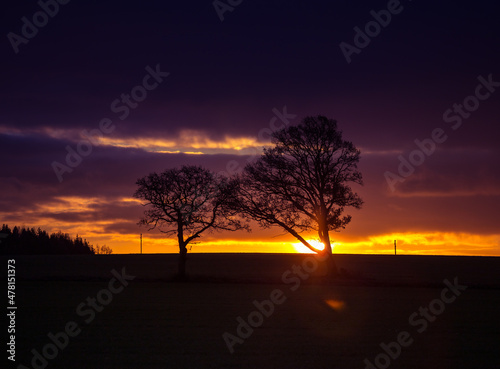 A beautiful autumn sun rising behind the oak trees in the distance. Fall scenery during the morning hours in Northern Europe.