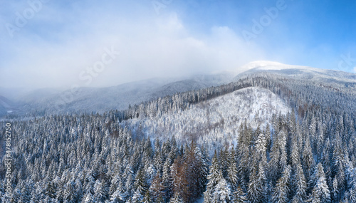 Beautiful mountain landscape from above. Winter forest with spruces and pines. Carpathians, Ukraine. © Alex Shestakov