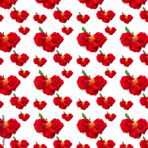 Valentine card.  Pattern of flowers in the form of hearts from rose petals. F...