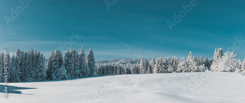 Winterliche Landschaft mit verschneitem Tannenwald
