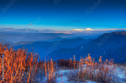 First light on mount Kanchenjunga with first light on red high altitude plants in foreground, Sunrise at Lunhgthang, Sikkim, West Bengal, India. Indo China border at Himalayan mountains. photo