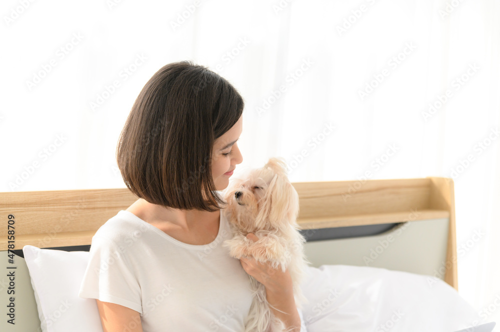 Young Asian woman relaxing and playing with white maltese dog in bedroom at home, Cheerful and nice couple with people and pet. Pet Lover concept Young Asian woman relaxing and playing with white maltese dog in bedroom at home, Cheerful and nice couple with people and pet. Pet Lover concept