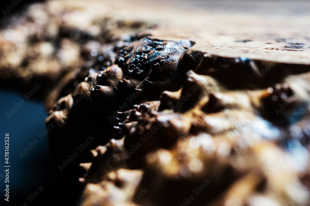 Extreme close-up, wood texture, wooden countertop slab, saw cut wood on black. Isolate.