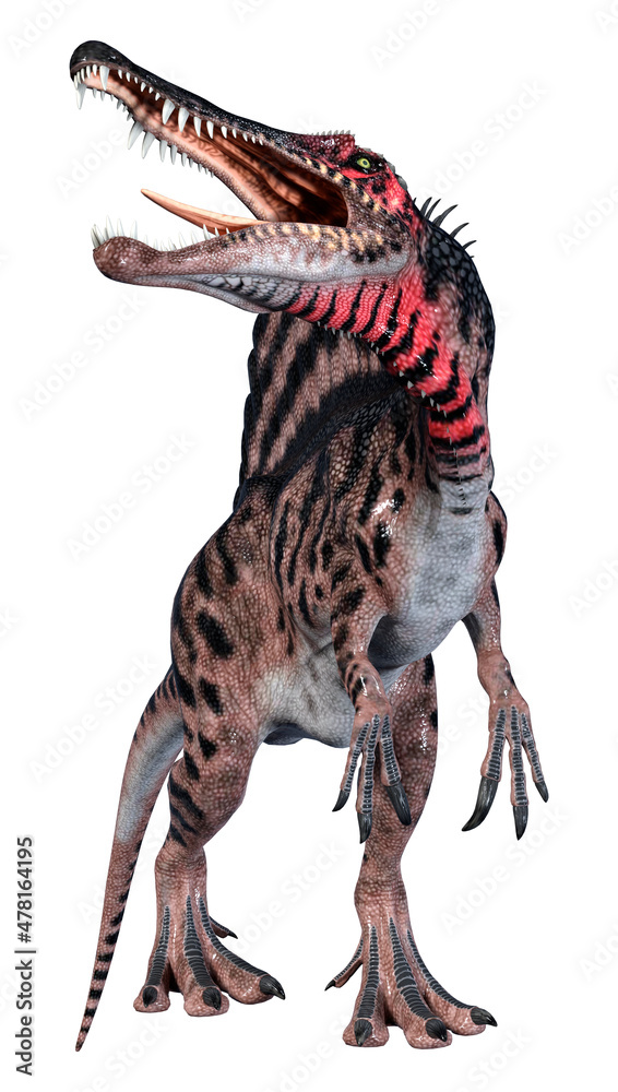 3D Rendering Dinosaur Spinosaurus on White 3D Rendering Dinosaur Spinosaurus on White
