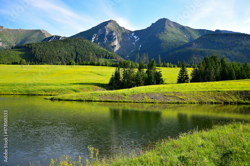 Fototapeta Naklejka Na Ścianę i Meble -  Havran and Zdiarska vidla, the two highest mountains in the Belianske Tatry. A pond and a flowery meadow in front. Slovakia.
