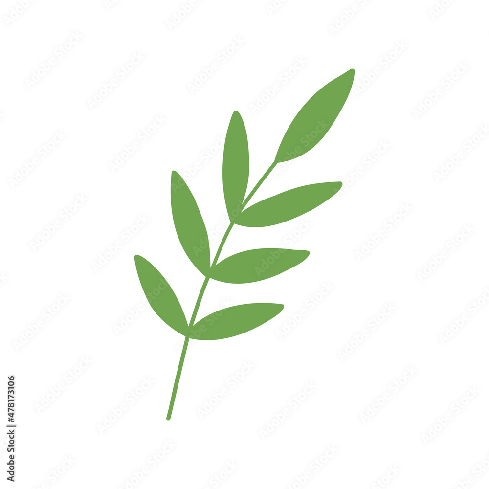 Green leaf handdrawn