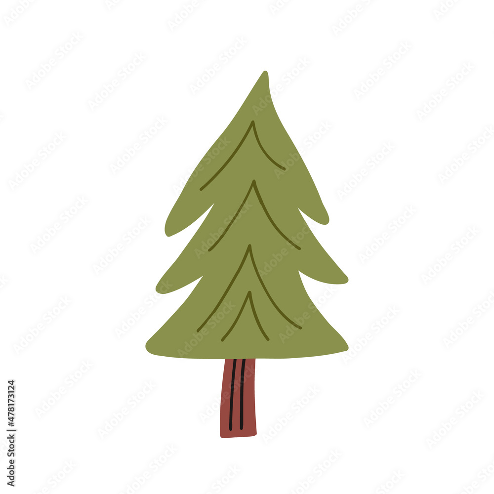 Fototapeta premium Green pine tree