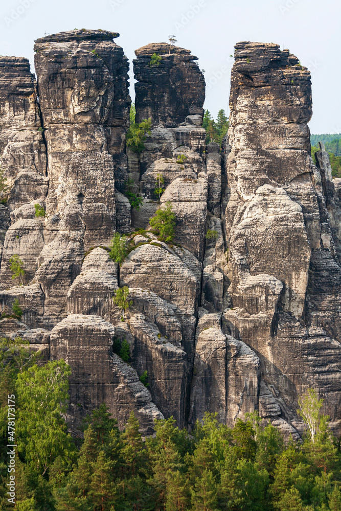Skurile Felsen im Elbsandsteingebirge der sächsischen Schweiz