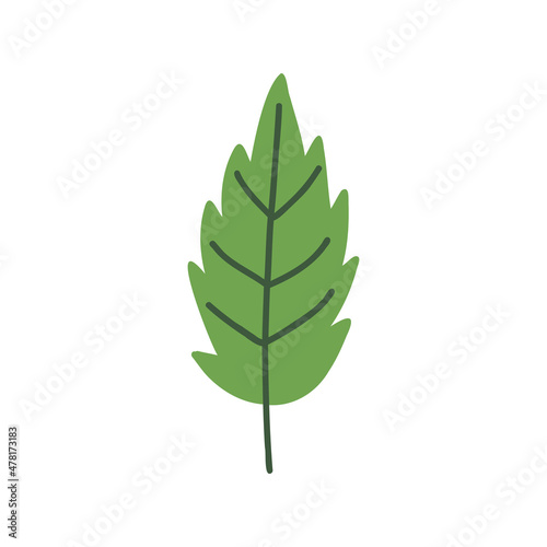 Green simple plain leaf