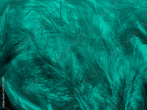 Beautiful abstract green feathers on black background, yellow feather texture on dark pattern, green background, feather wallpaper, love theme, valentines day, green gradient texture