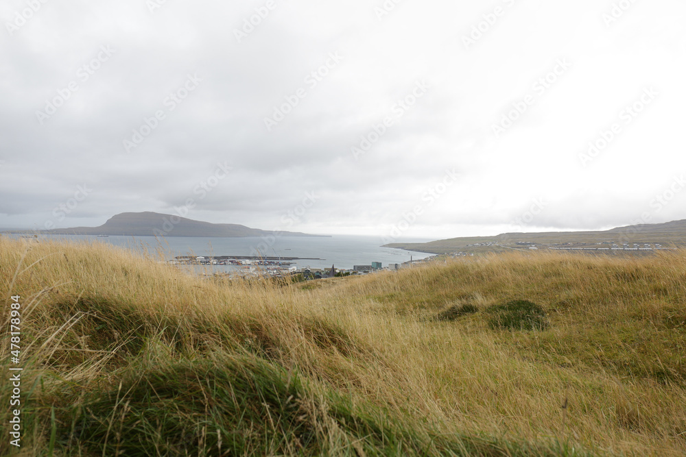 landscape with grass and clouds