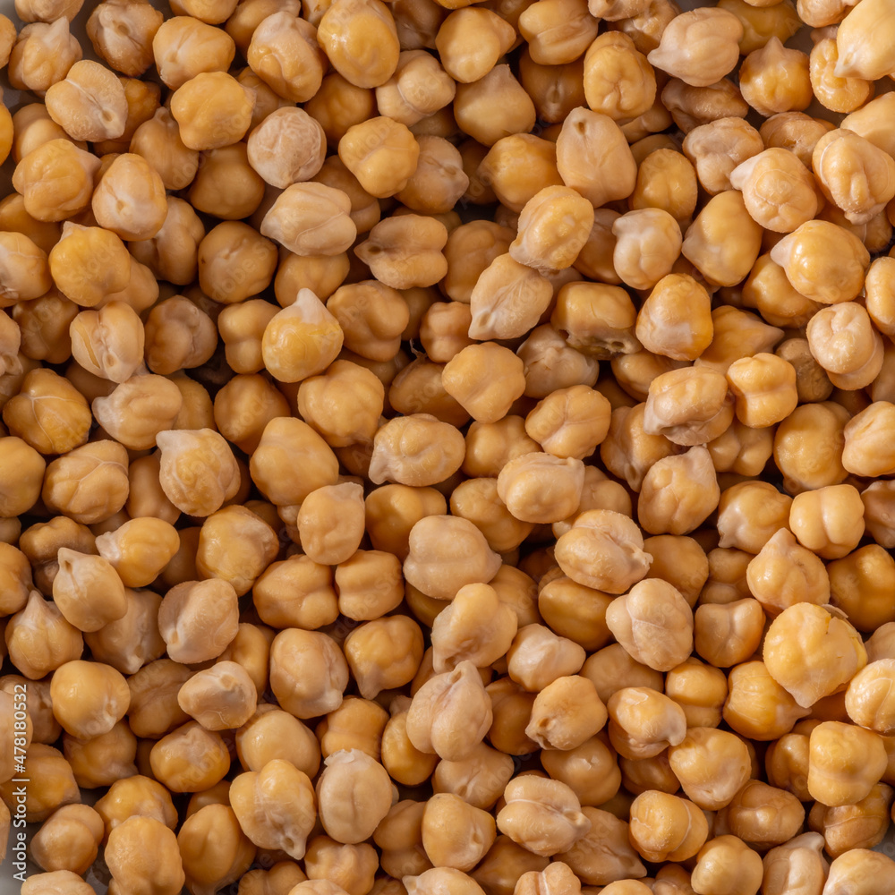 Chickpea or chick pea Cicer arietinum annual legume for cooking hummus. Garbanzo beans seeds for nutrient-dense healthy vegetarian food Chickpea or chick pea Cicer arietinum annual legume for cooking hummus. Garbanzo beans seeds for nutrient-dense healthy vegetarian food