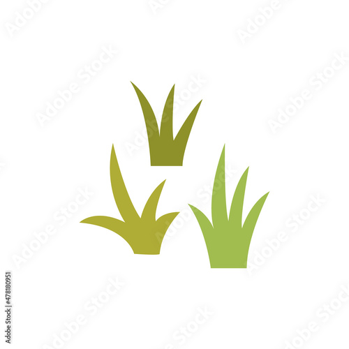 Vector green grass