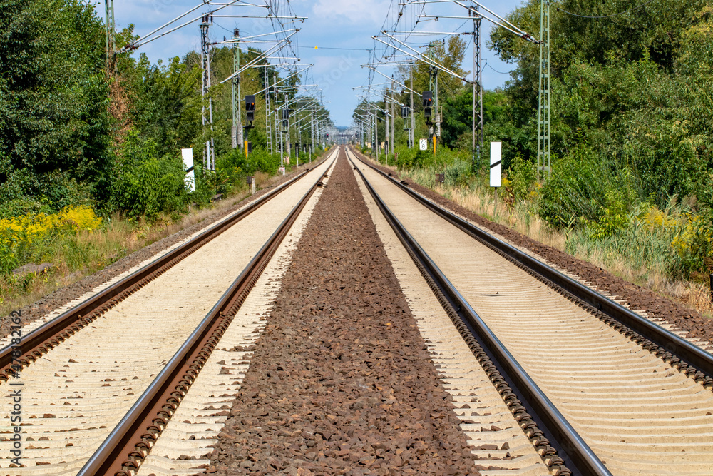 Fototapeta premium Transit Railroad tracks going through a scenic forested countryside with a blue sky and fluffy clouds above.