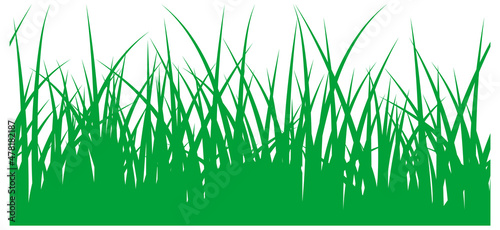 Green grass. Eco organic symbol. Natural seamless pattern