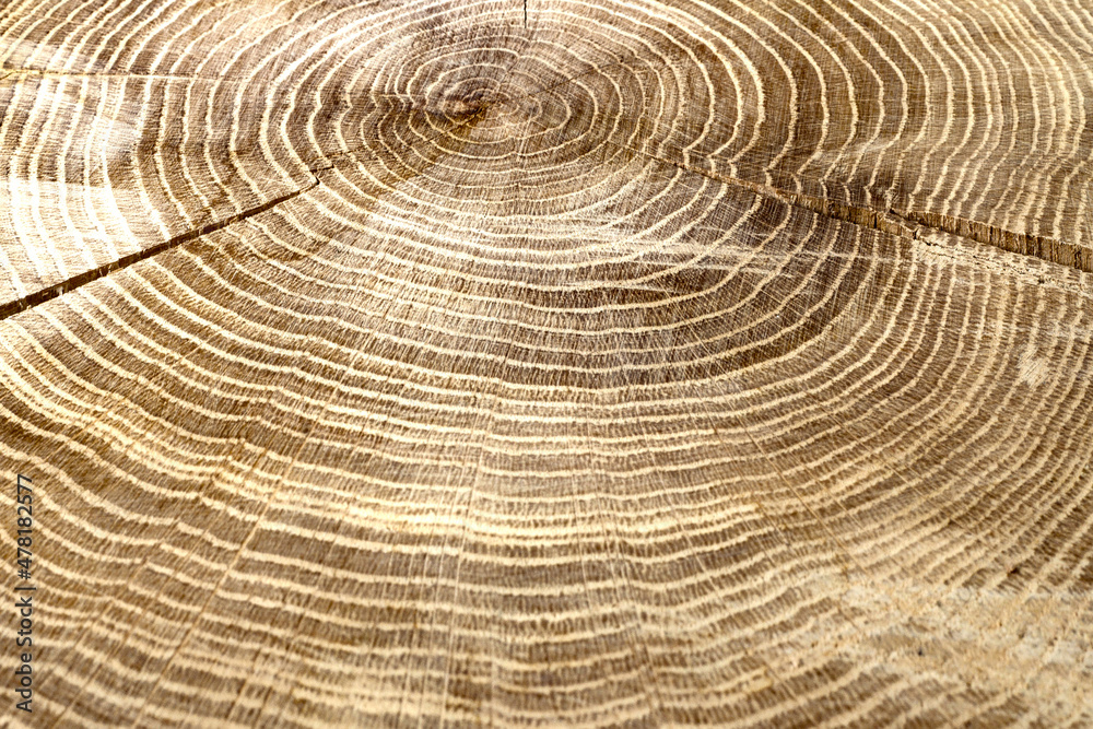 Naklejka premium Maserung