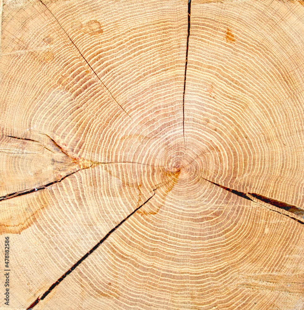 Naklejka premium Wood