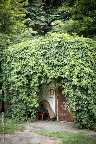 old house in the woods with the chair and carpet