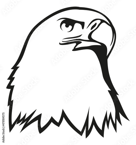 Eagle head icon. Hawk outline logo. Bird of prey
