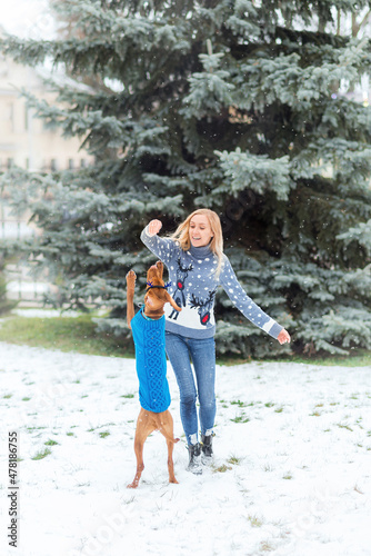 girl has fun playing with her dog in winter . A girl in a Christmas sweater trains a dog in a sweater. © Марина Шавловская