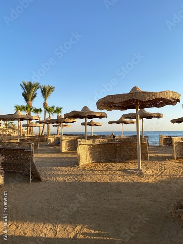 beach with umbrellas in egypt