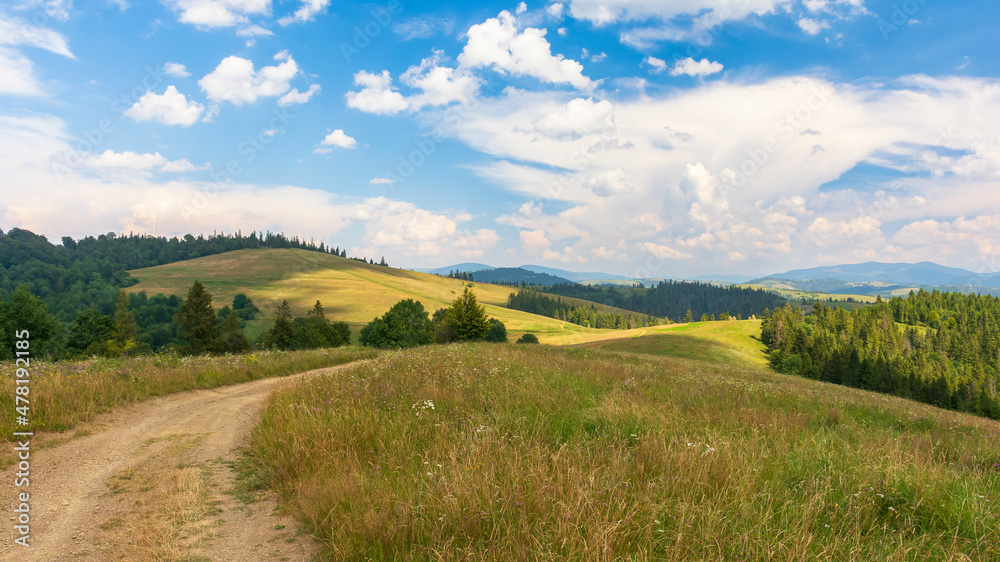 beautiful countryside of transcarpathia. sunny afternoon. scenic summer landscape in mountains. grassy meadows and forested rolling hills. scenery with rural road through green fields in evening light