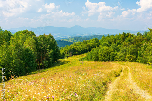 Obraz na płótnie beautiful countryside of transcarpathia. sunny afternoon. scenic summer landscape in mountains. grassy meadows and forested rolling hills. scenery with rural road through green fields in evening light w salonie