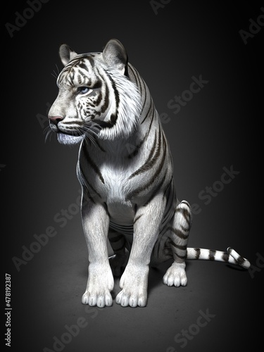 Tiger close-up. 3d illustration