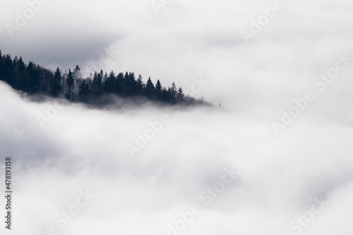 Sea ​​of ​​clouds with beautiful landscape with mountains and fir trees
