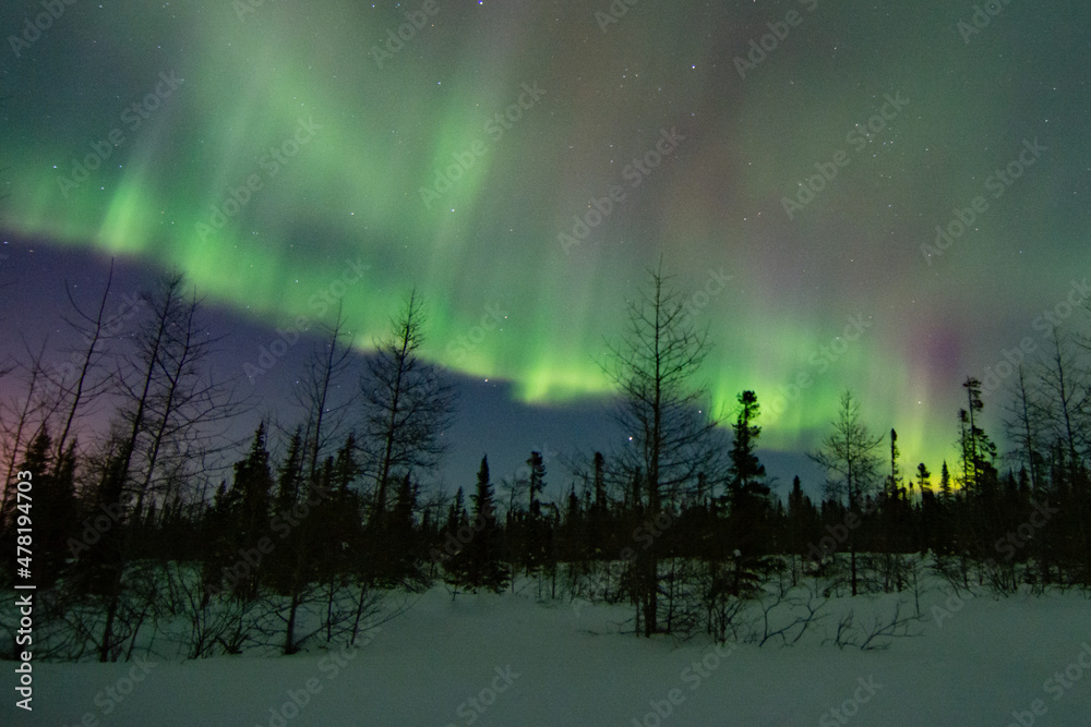 Powerful and wild northern lights fill the sky above a boreal forest treeline foreground in northern Manitoba, Canada Powerful and wild northern lights fill the sky above a boreal forest treeline foreground in northern Manitoba, Canada