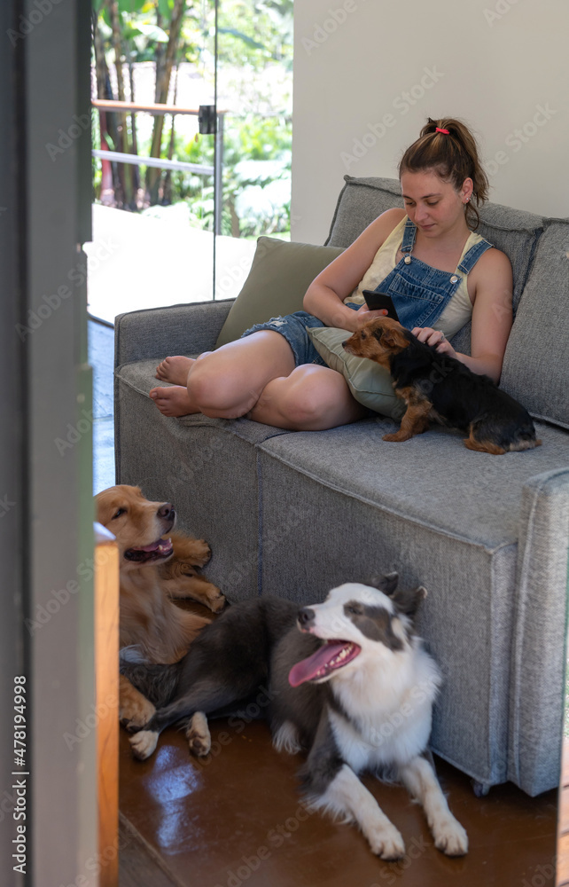 young woman sitting on the sofa, petting a dog and using a cell phone at home young woman sitting on the sofa, petting a dog and using a cell phone at home