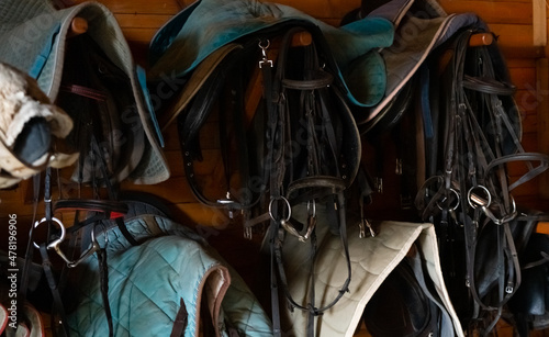 horse saddles and horse harness hung on the wall