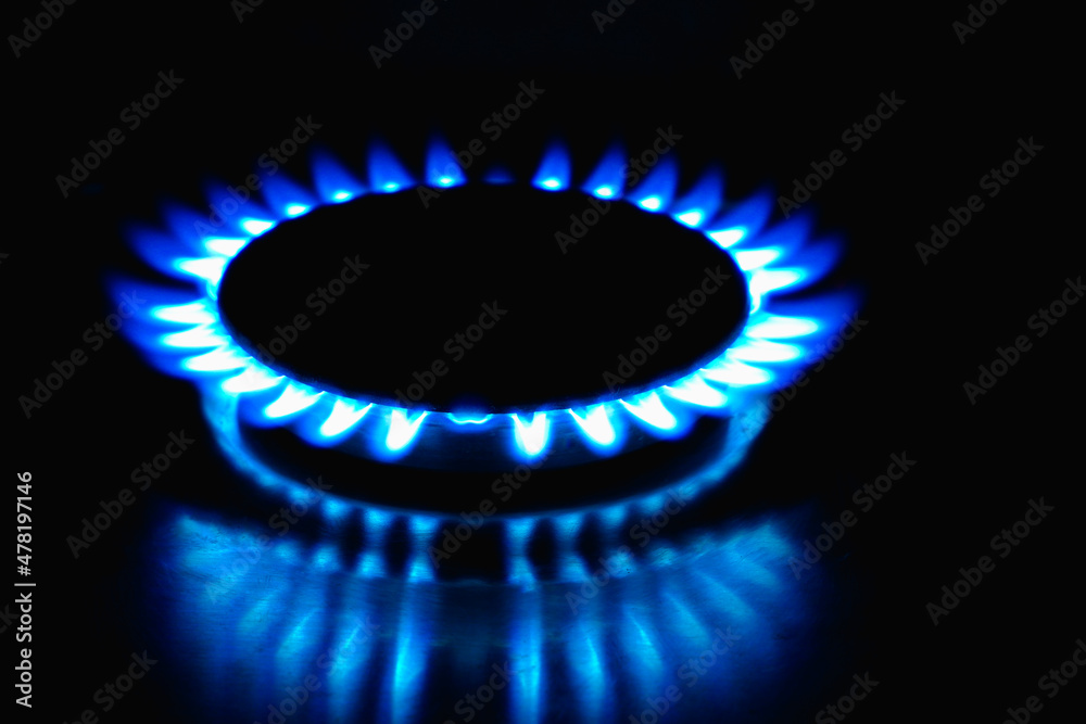 Flame of a gas burner on a black background. Combustion of Natural gas on a black background. Gas stove. Gas stove burner on fire. Fossil fuel. Hydrocarbons. Gas crisis in Europe. Flame of a gas burner on a black background. Combustion of Natural gas on a black background. Gas stove. Gas stove burner on fire. Fossil fuel. Hydrocarbons. Gas crisis in Europe.