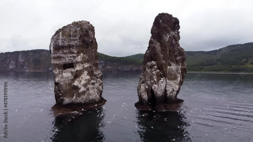 two rocks in the ocean with flying seagulls two rocks in the ocean with flying seagulls