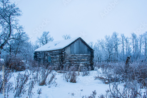 A very old and rustic log cabin in the winter in rural America. © Chris