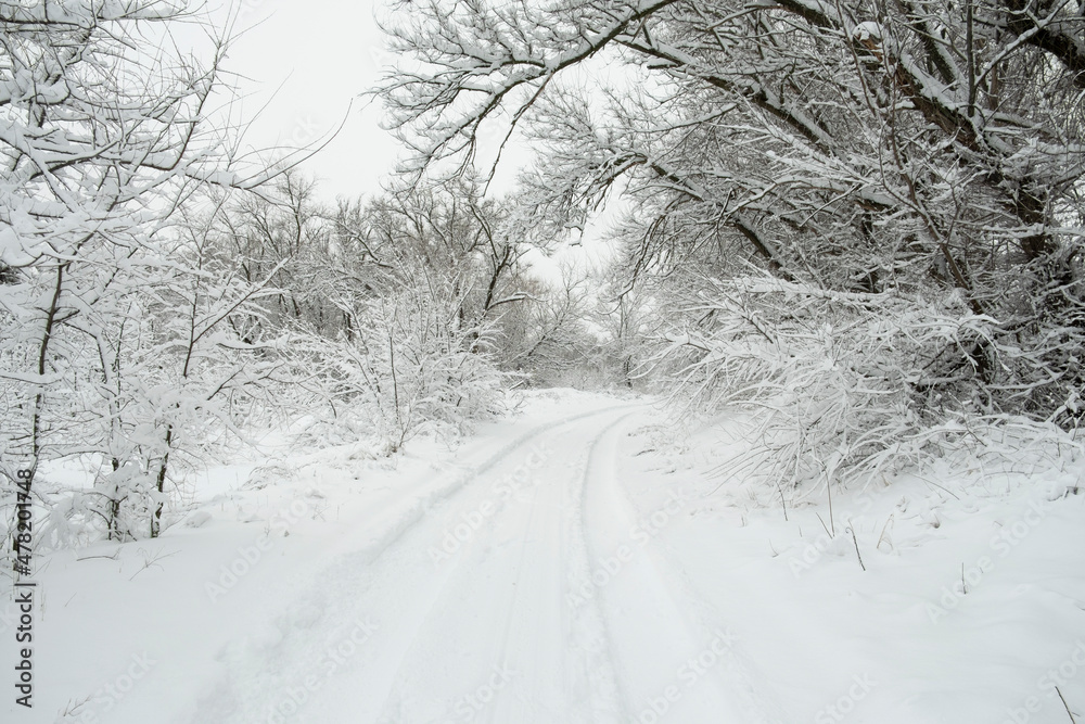 Winter road snowfall. An empty rural road without cars, covered with snowdrifts. Travel in bad weather. Winter cloudy landscape with a country road. Tracks of passing cars. The concept of winter magic Winter road snowfall. An empty rural road without cars, covered with snowdrifts. Travel in bad weather. Winter cloudy landscape with a country road. Tracks of passing cars. The concept of winter magic