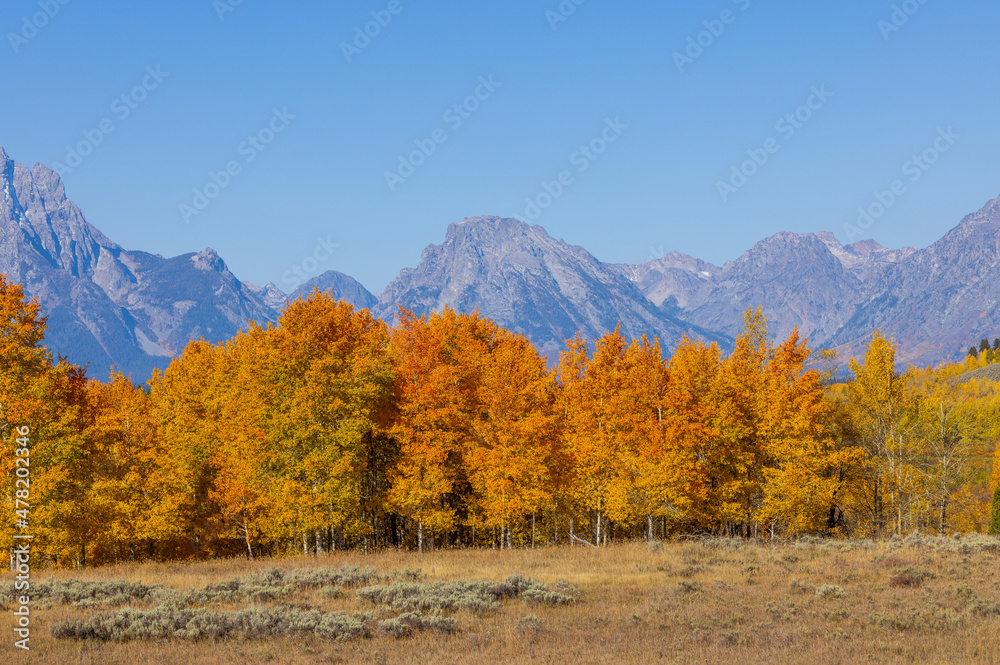 Scenic Landscape in Grand Teton National Park Wyoming in Autumn Scenic Landscape in Grand Teton National Park Wyoming in Autumn
