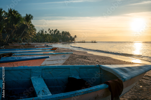 Guayacanes