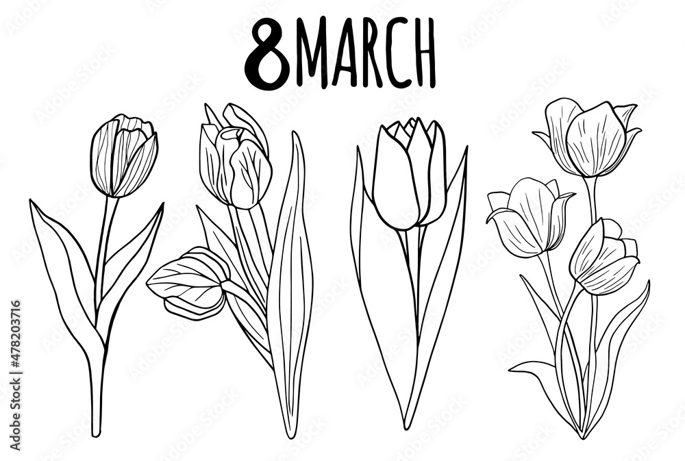 Fototapeta Floral collection with leaves, tulips Happy 8 March. Vector flowers. Spring art print with botanical elements. Festive postcard. Folk style. Spring holiday posters. icons isolated on white background