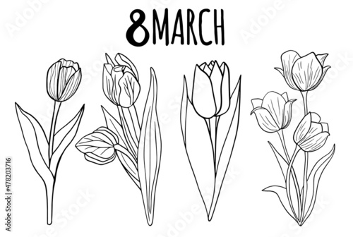 Floral collection with leaves, tulips Happy 8 March. Vector flowers. Spring art print with botanical elements. Festive postcard. Folk style. Spring holiday posters. icons isolated on white background