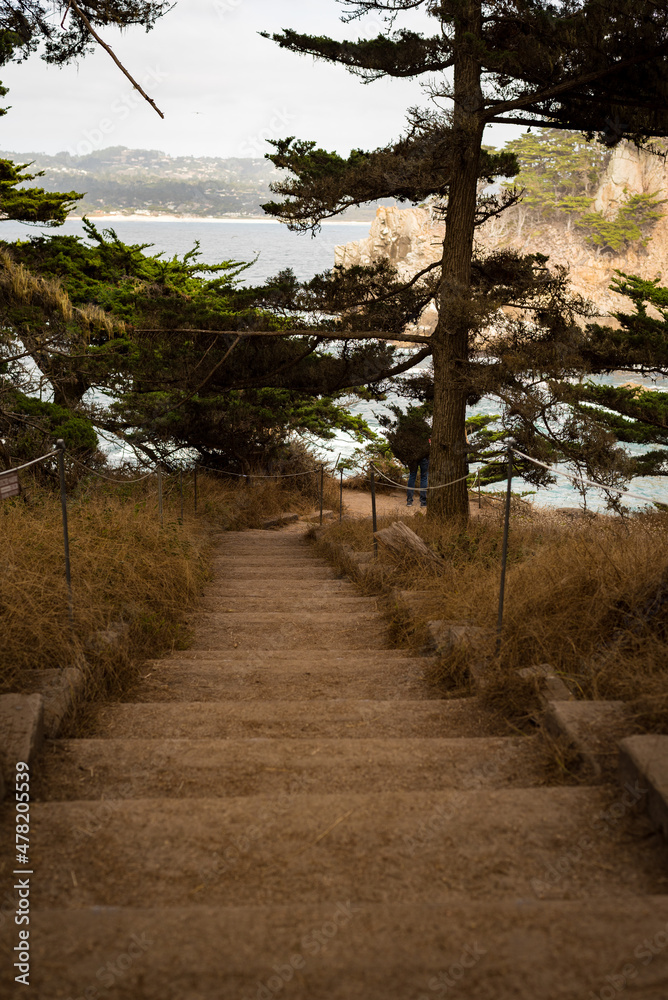 path to the sea